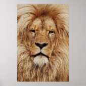 Poster Son Altesse Royale (Devant)