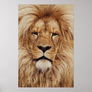 Poster Son Altesse Royale