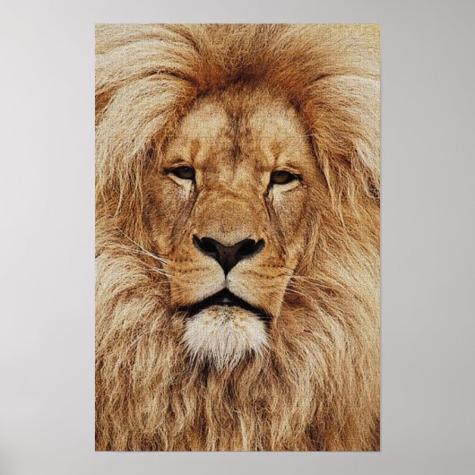 Poster Son Altesse Royale (Devant)