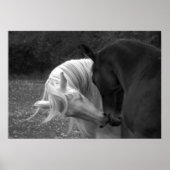 Poster Son Amour (Devant)