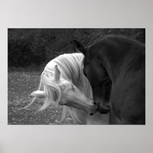 Poster Son Amour (Devant)