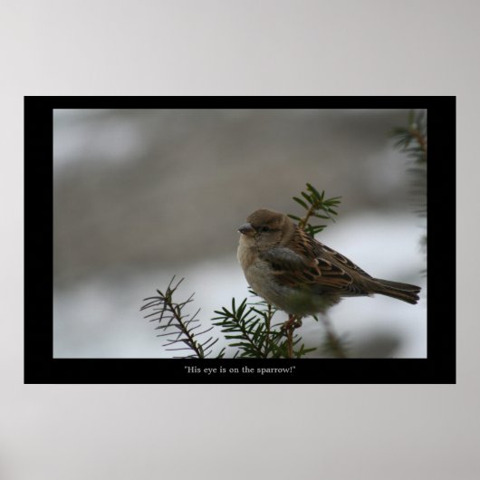 Poster "Son oeil est sur l'affiche du Bruant ! (Devant)