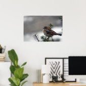 Poster Son oeil est sur le Bruant (Bureau à domicile)