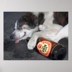 Poster Son vice-maître