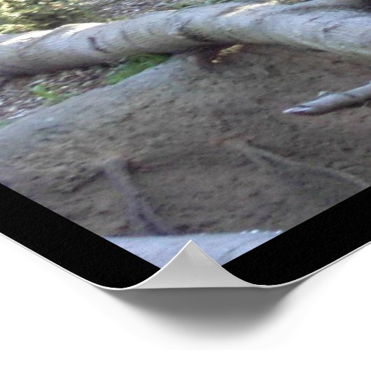 Poster Sondage (Coin)