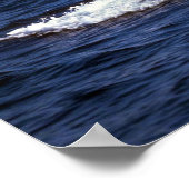 Poster Sondage de baleines à bosse (luges à queue) (Coin)