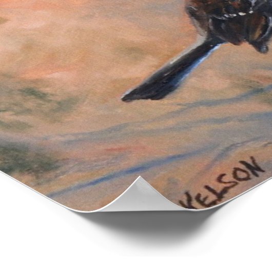 Poster Song Sparrow Fine Art Print (Coin)