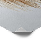 Poster Songs of the Forest (Coin)