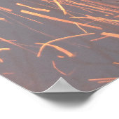 Poster Songs of the Forest (Coin)