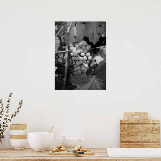 Poster Sonoma (Cuisine)