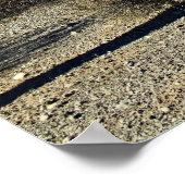 Poster Sonoran Desert Scene 16 (Coin)