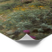 Poster Sonoran Desert Spring Symphonie Art Imprimer Affic (Coin)