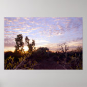 Poster Sonoran Sunset (Devant)