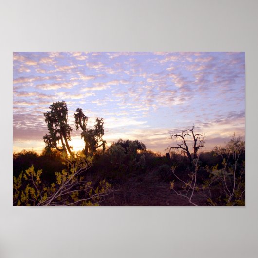 Poster Sonoran Sunset (Devant)