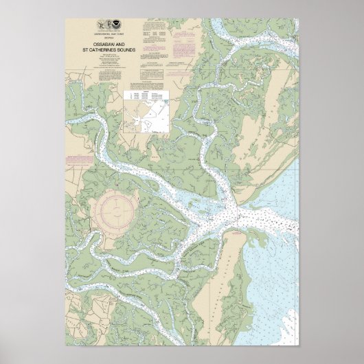 Poster Sons Ossabaw et St Catherines Graphique 11511 (Devant)