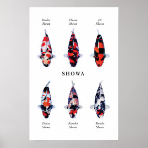 Poster soorten Japanse koi vis: Showa