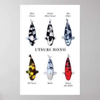 Poster soorten Japanse koi vis: Utsurimono