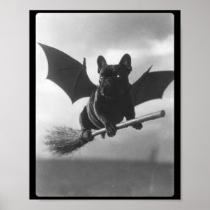 Poster Sorcier British Bulldog Balai Ailes de Chauve-Sour