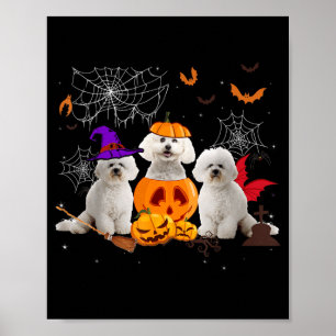 Poster Sorcière de citrouille drôle Bichon Frise Chien Ha