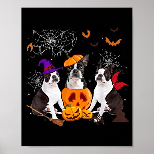 Poster Sorcière de citrouille drôle Boston Terrier Chien (Devant)