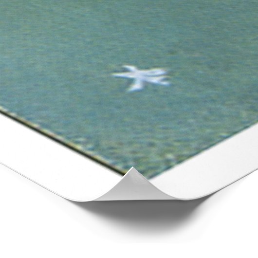 Poster Sorcière Par Nuit (Coin)