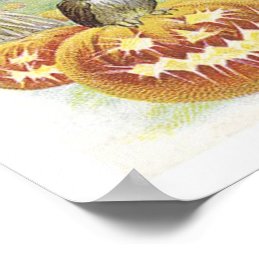 Poster Sorcière volante, chauves-souris, chat, Chouette (Coin)