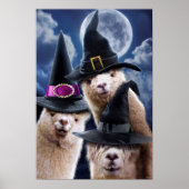 Poster Sorcières d'Alpaca (Devant)