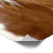 Poster Sorrel Horse (Coin)