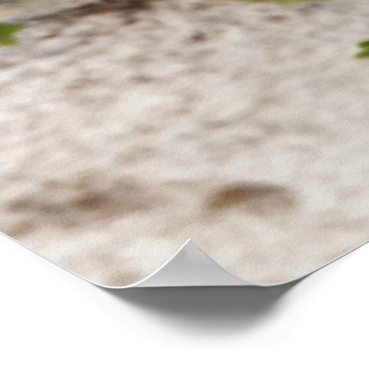 Poster sortie de la fleur murale (Coin)