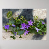 Poster sortie de la fleur murale (Devant)