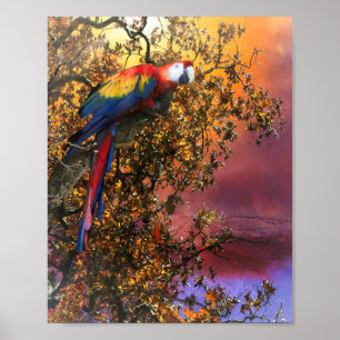 POSTER SORTIE DE LA FORÊT DE MACAT PARROT