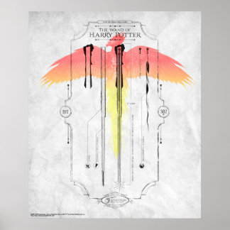 Poster Sortilège Harry Potter | Infographie de la baguett