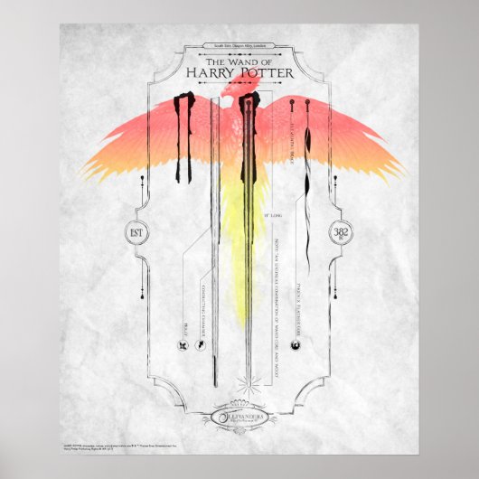 Poster Sortilège Harry Potter | Infographie de la baguett (Devant)