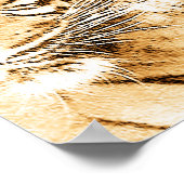 Poster Sortir_ (Coin)