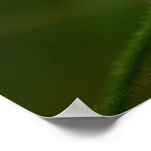 Poster Sortir de l'impression (Coin)