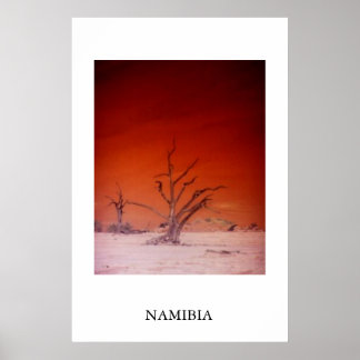 POSTER SOSSUSVLEI