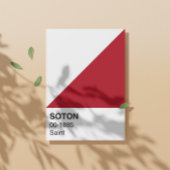 Poster Soton Saint - Largeur totale
