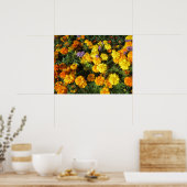 Poster Soucis (Cuisine)