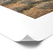 Poster Soudain (Coin)