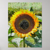 POSTER SOUFFLE (Devant)