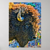 Poster Soul de buffle (Devant)