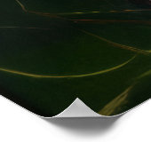 Poster Soul Fragments (Coin)