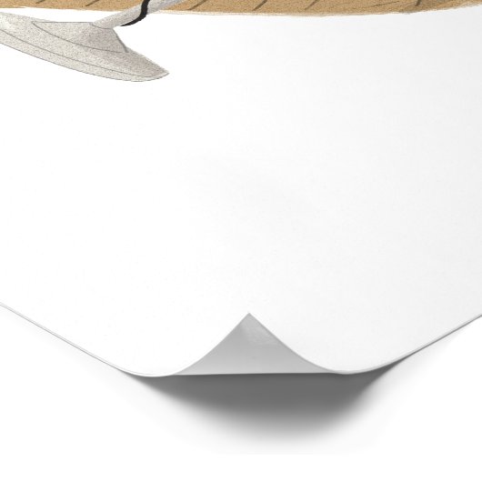 Poster Soul Star (Coin)