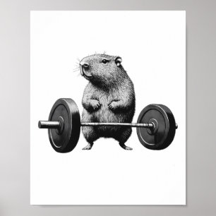 Poster Soulever à mort Capybara Drôle Fitness Rongeur Ama