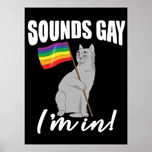 Poster Sounds Gay I'm (Devant)