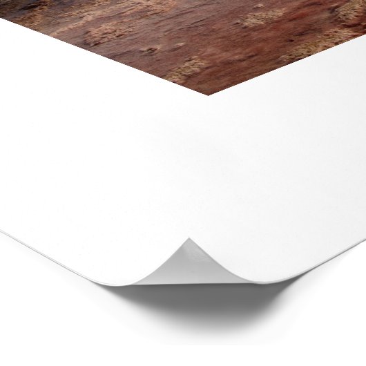 Poster Source chaude du parc national Yellowstone (Coin)