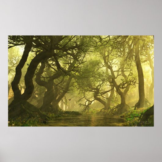 Poster Source du ruisseau Canopy (Devant)