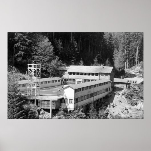 Poster Sources d'eau chaude olympiques, WA Lodge Voir la  (Devant)