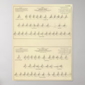 Poster Sourds et mutistes, statistique US Lithographe (Devant)