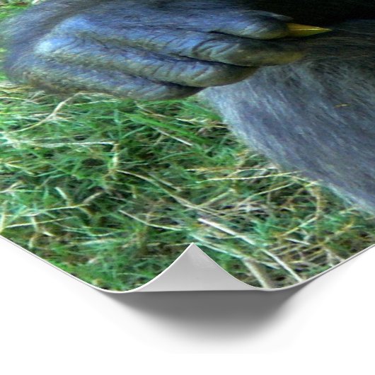 Poster Souriant (Coin)